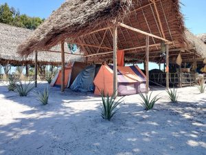 WhatsApp Image 2025-07-31 at 4.40.12 PM (2)