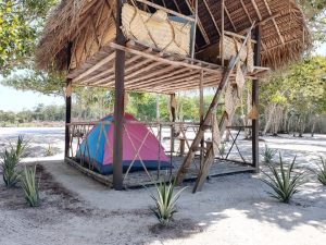 WhatsApp Image 2025-07-31 at 4.40.12 PM (3)